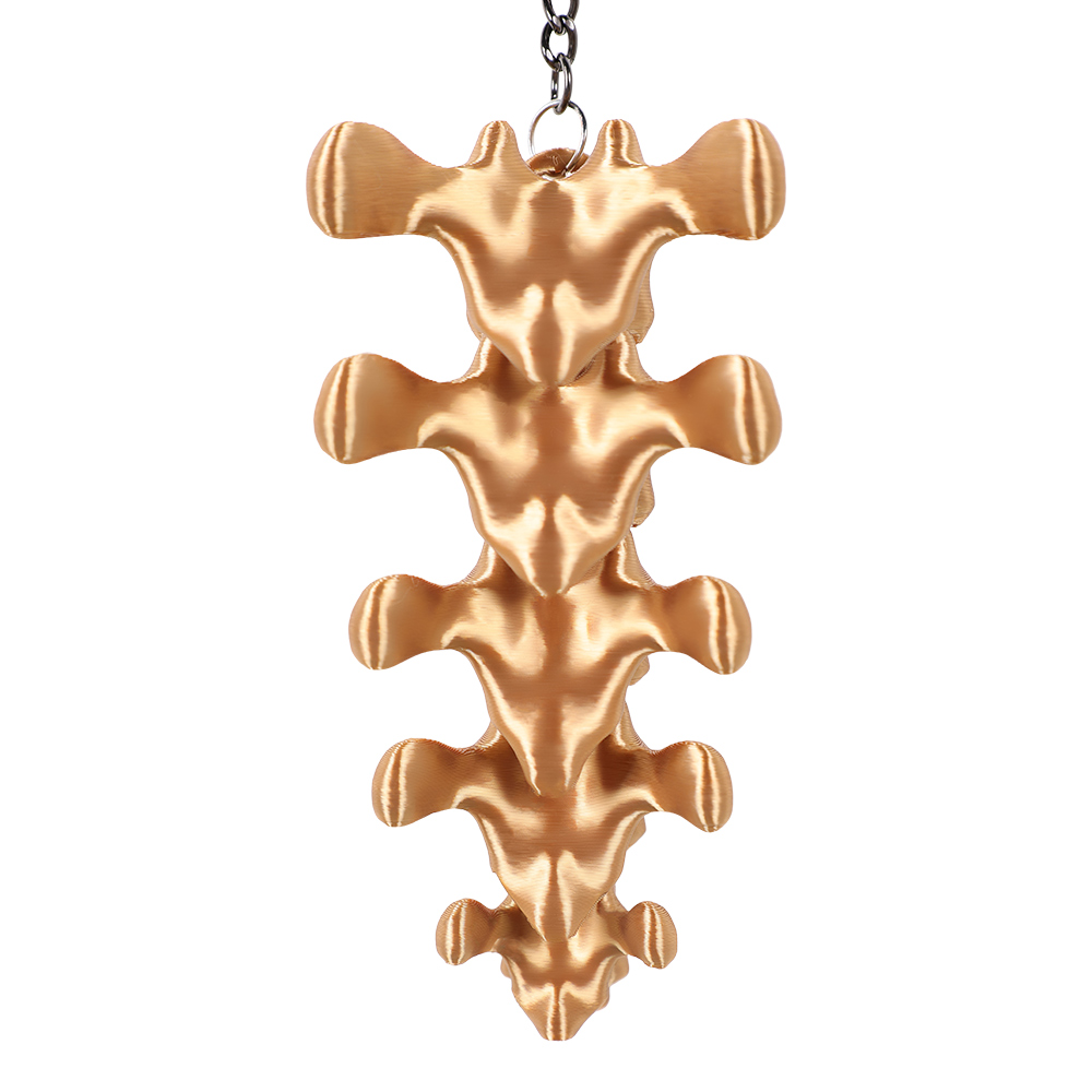 Odyssey 2026 Plastic Spine Sha - Men Accessories Ring recension och pris